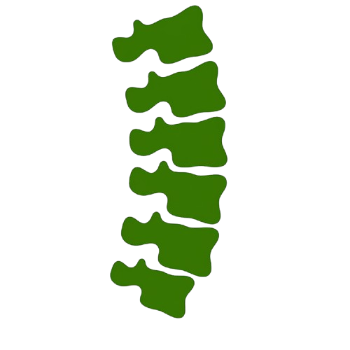 Ícone de coluna vertebral
